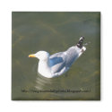 Seagull at Gosmans Dock in Montauk magnets