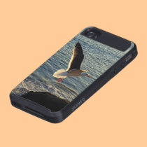 Seagull at  Malibu Beach, Pacific Ocean skinit case