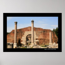 Seagull at the Forum Poster