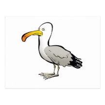 Seagull au naturel postcards