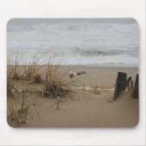 Seagull Beach mousepads