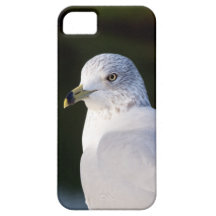 Seagull Bird iPhone 5 Case-Mate Case