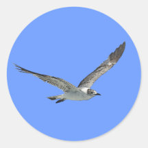 Seagull Bird Round Sticker