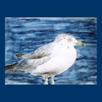 seagull birds seagulls watercolor painting art posters
