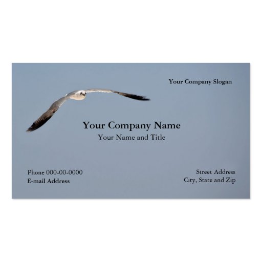 Seagull Business Card