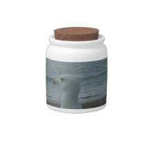 SEAGULL CANDY DISH