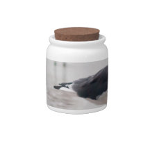 Seagull Candy Jars