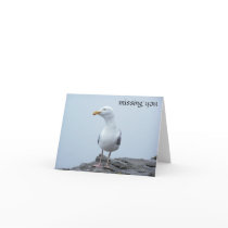 Seagull cards