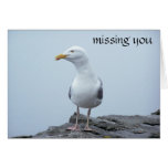 Seagull Cards
