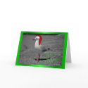 SEAGULL CHRISTMAS cards by GOLDENJACKAL SEAGULL CHRISTMAS cards