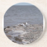 Seagull Companions Coasters