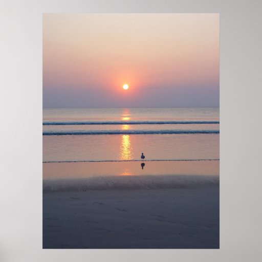 Seagull Daytona Beach FL Ocean Sunrise Poster