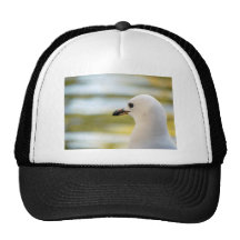 Seagull Deep in Thought Mesh Hats