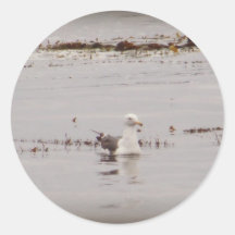 Seagull Drifts Stickers