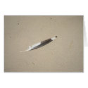 Seagull Feather cards