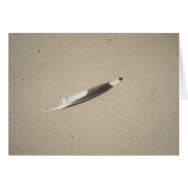 Seagull Feather cards