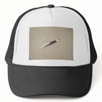 Seagull Feather hats by KatsEyes Seagull Feather hats