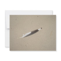 Seagull Feather Custom Announcement