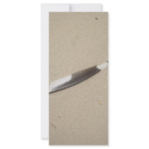Seagull Feather rack cards by KatsEyes Seagull Feather rack cards