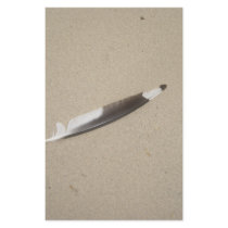 Seagull Feather stationery by KatsEyes Seagull Feather stationery