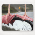 Seagull Feet mousepads