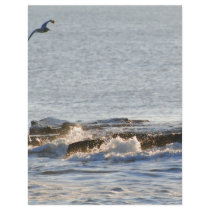 Seagull flyers by creative_eye Seagull flyers