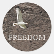 Seagull flying free round stickers