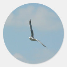 Seagull Flying On Sky High Round Stickers
