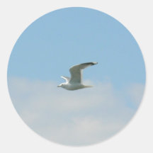 Seagull Flying Over Ocean Sticker