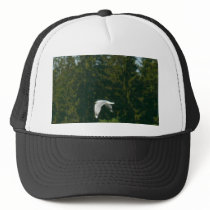 Seagull Flying Over Trees hats by lifesphere Seagull Flying Over Trees hats