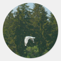 Seagull Flying Over Trees Round Sticker
