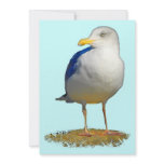 Seagull Got His Eye on You Invite
