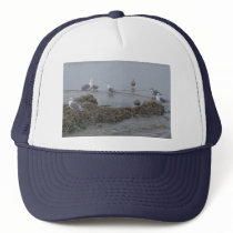 Seagull Hat by crystalreddell Seagull Hat