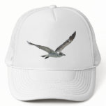 Seagull Hat