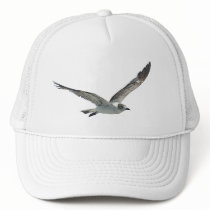 Seagull hats