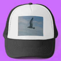 seagull hats by KatsEyes seagull hats