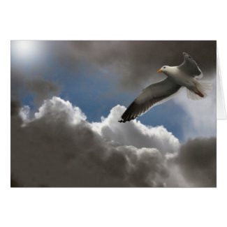 SEAGULL IN CLOUDS card