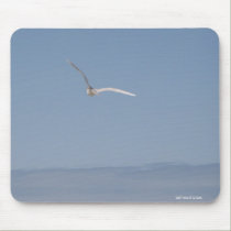 Seagull in Flight Mousepad mousepads