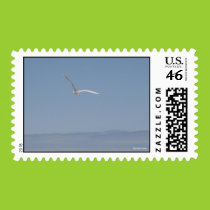 Seagull in Flight Postage stamps