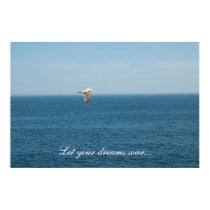 Seagull In Flight Poster posters
