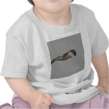 Seagull in Flight Tee Shirt