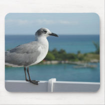 Seagull In Paradise Mousepad