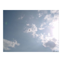 Seagull in Shining Clouds posters by bpgisme Seagull in Shining Clouds posters