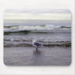 Seagull in the Ocean Mousepad