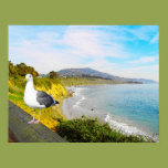 Seagull Island