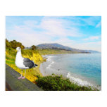 Seagull Island