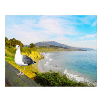 Seagull Island posters by Surfwearzcom Seagull Island posters