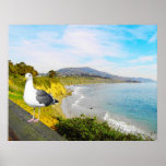 Seagull Island Print