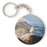 Seagull Key Chains