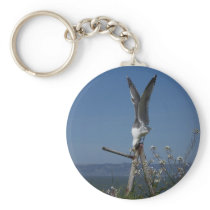Seagull Keychain